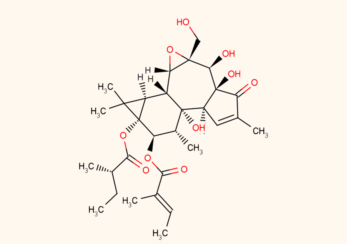 Exploring the Anti-Inflammatory Powers of Blushwood Berry