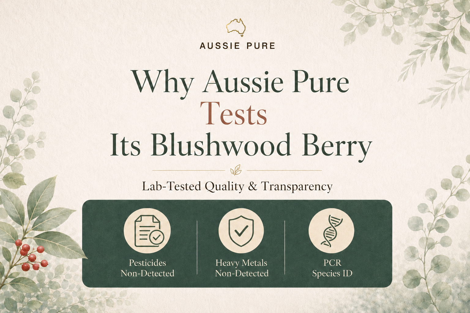 Why Aussie Pure Third-Party Tests Its Blushwood Berry