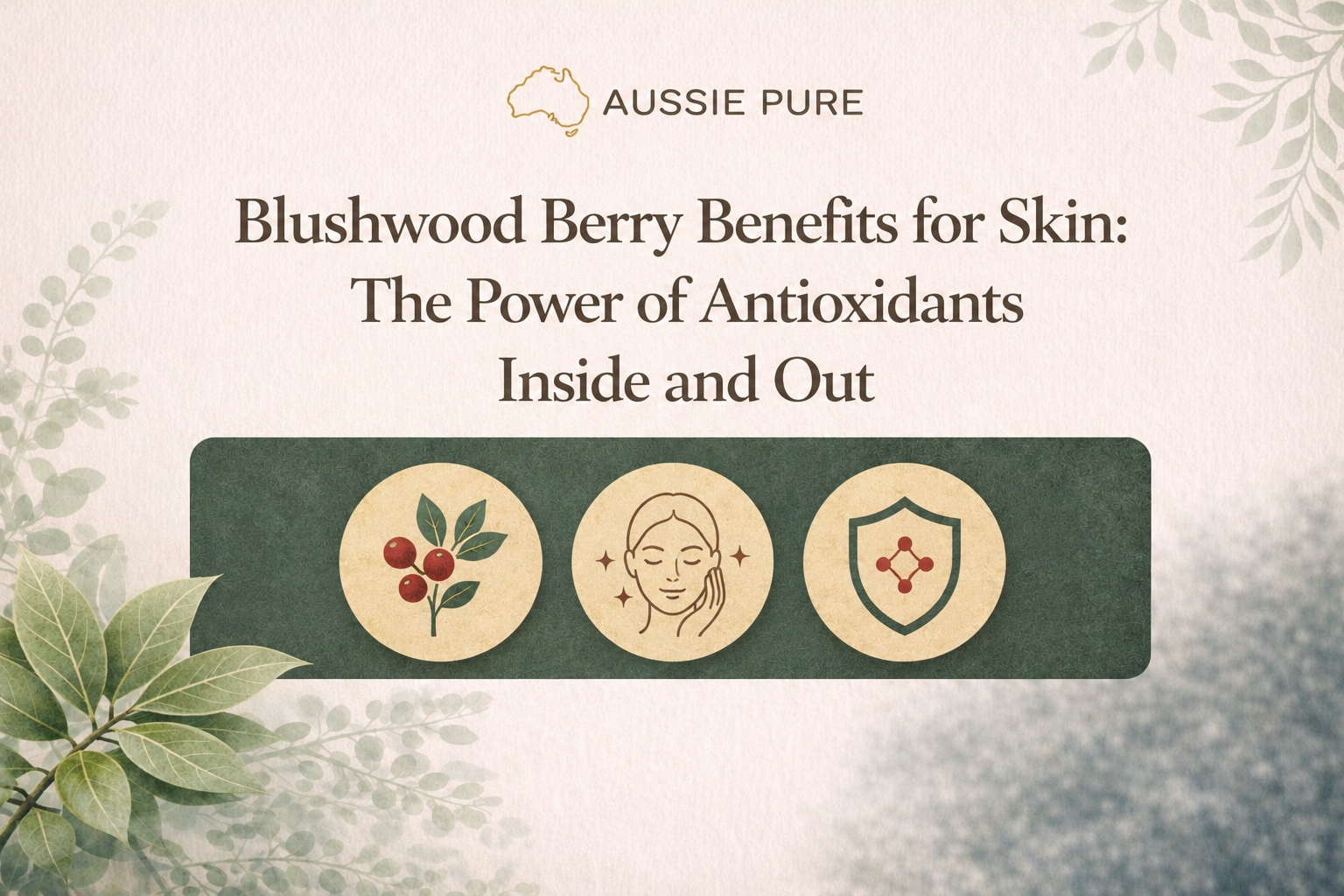 Blushwood Berry Benefits for Skin: The Power of Antioxidants Inside and Out