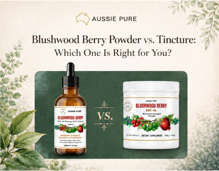 Blushwood Berry Powder vs. Tincture: Which One Is Right for You?