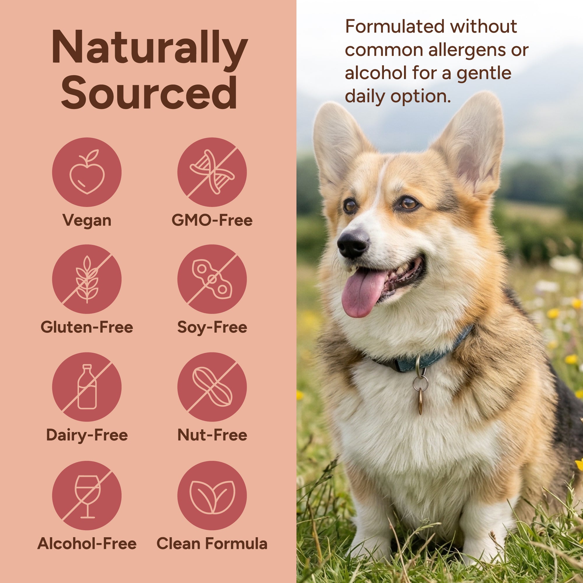 Blushwood Berry EBC-46 Pet Cell Defense Tincture