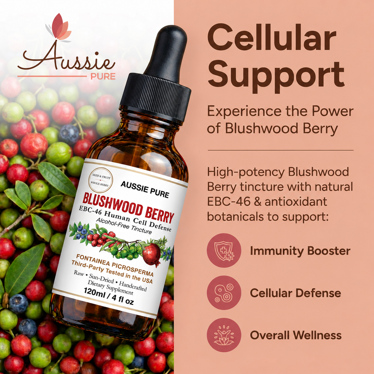 Blushwood Berry EBC-46 Human Cell Defense Tincture