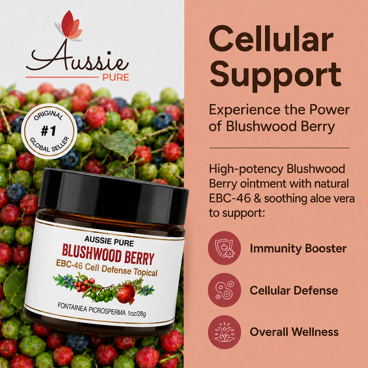Blushwood Berry EBC-46 Cell Defense Topical Ointment