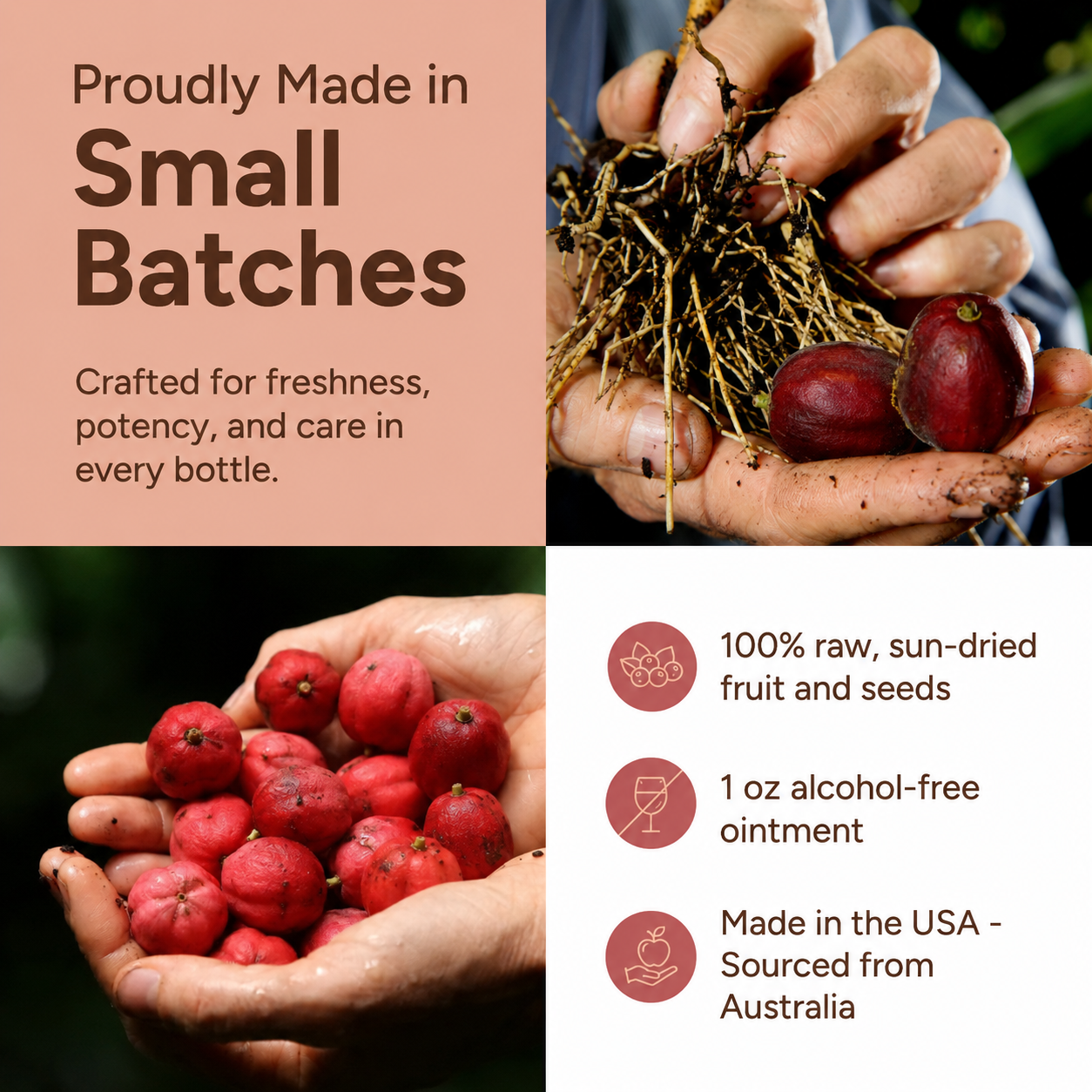 Blushwood Berry Cell Defense Topical Ointment