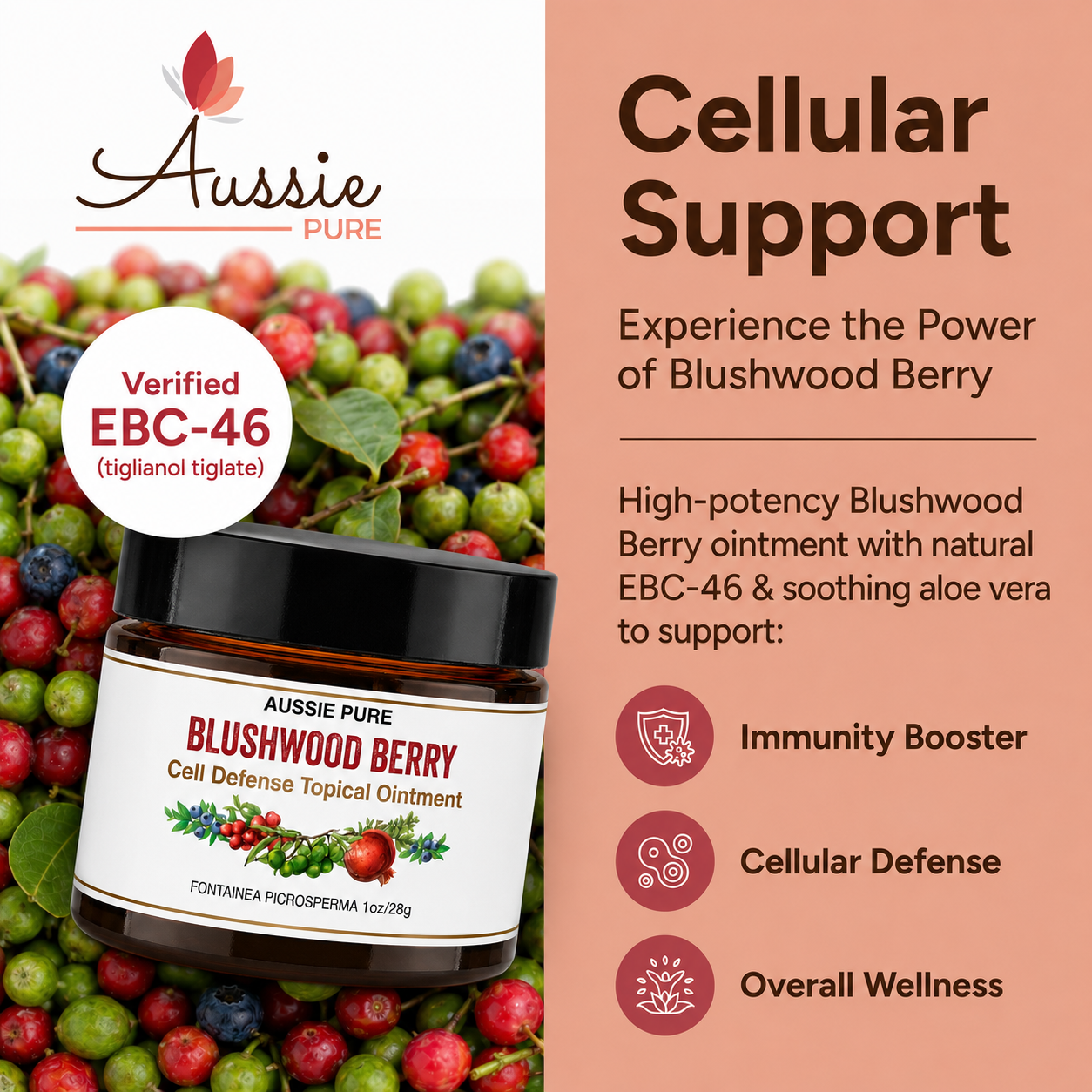 Blushwood Berry Cell Defense Topical Ointment