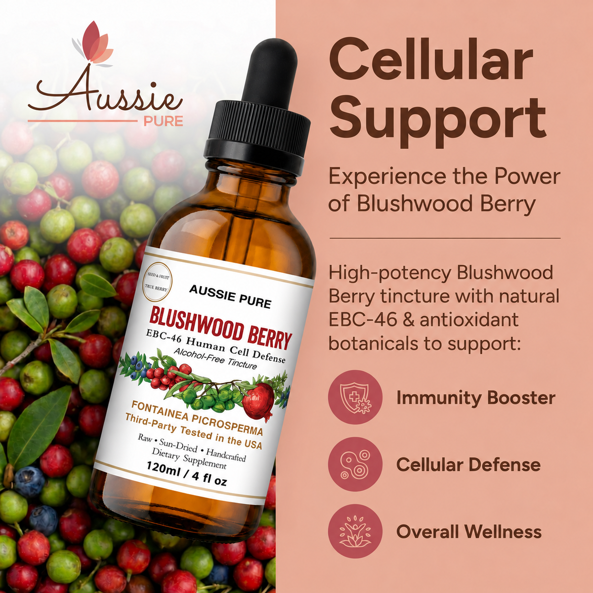 Blushwood Berry EBC-46 Human Cell Defense Tincture