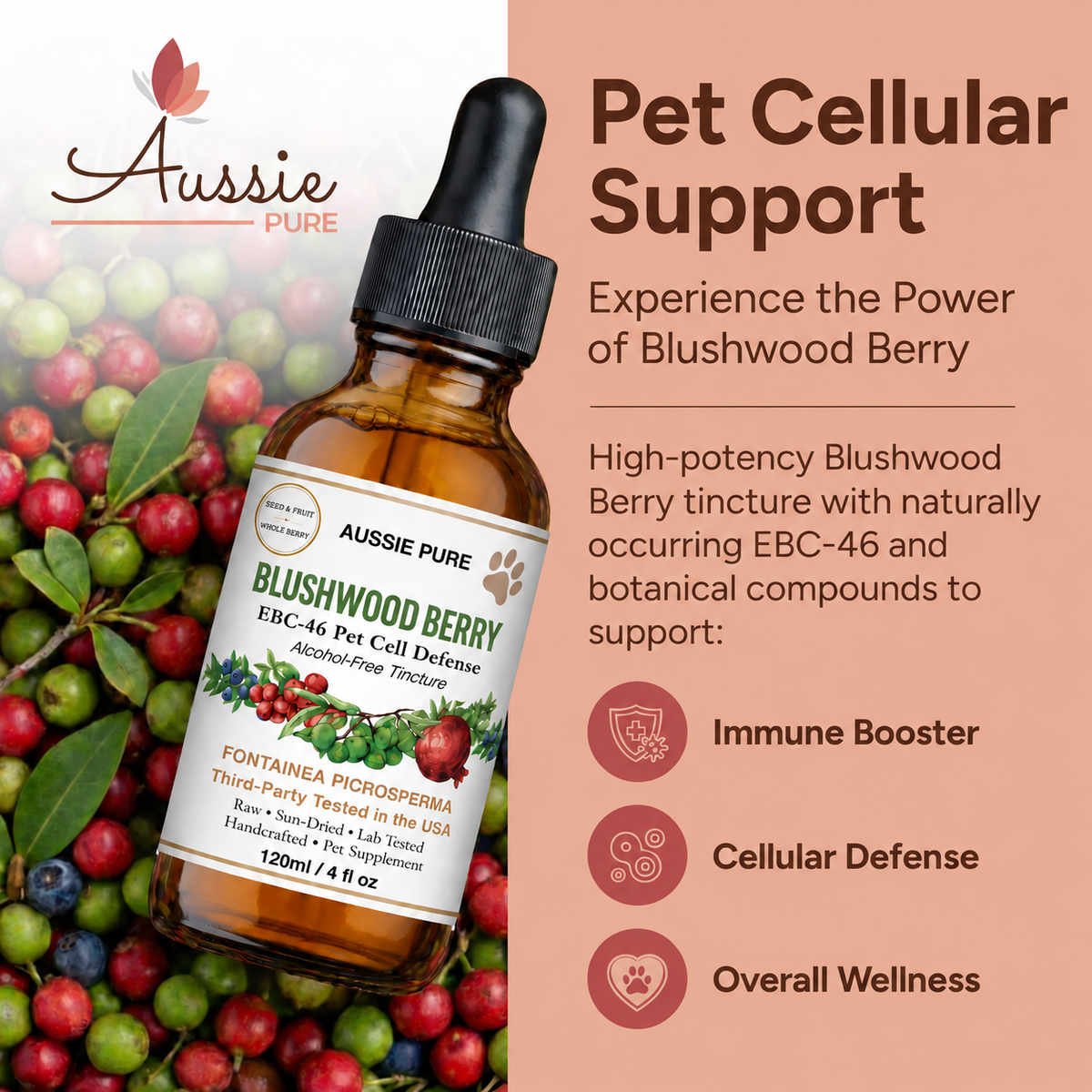 Blushwood Berry EBC-46 Pet Cell Defense Tincture