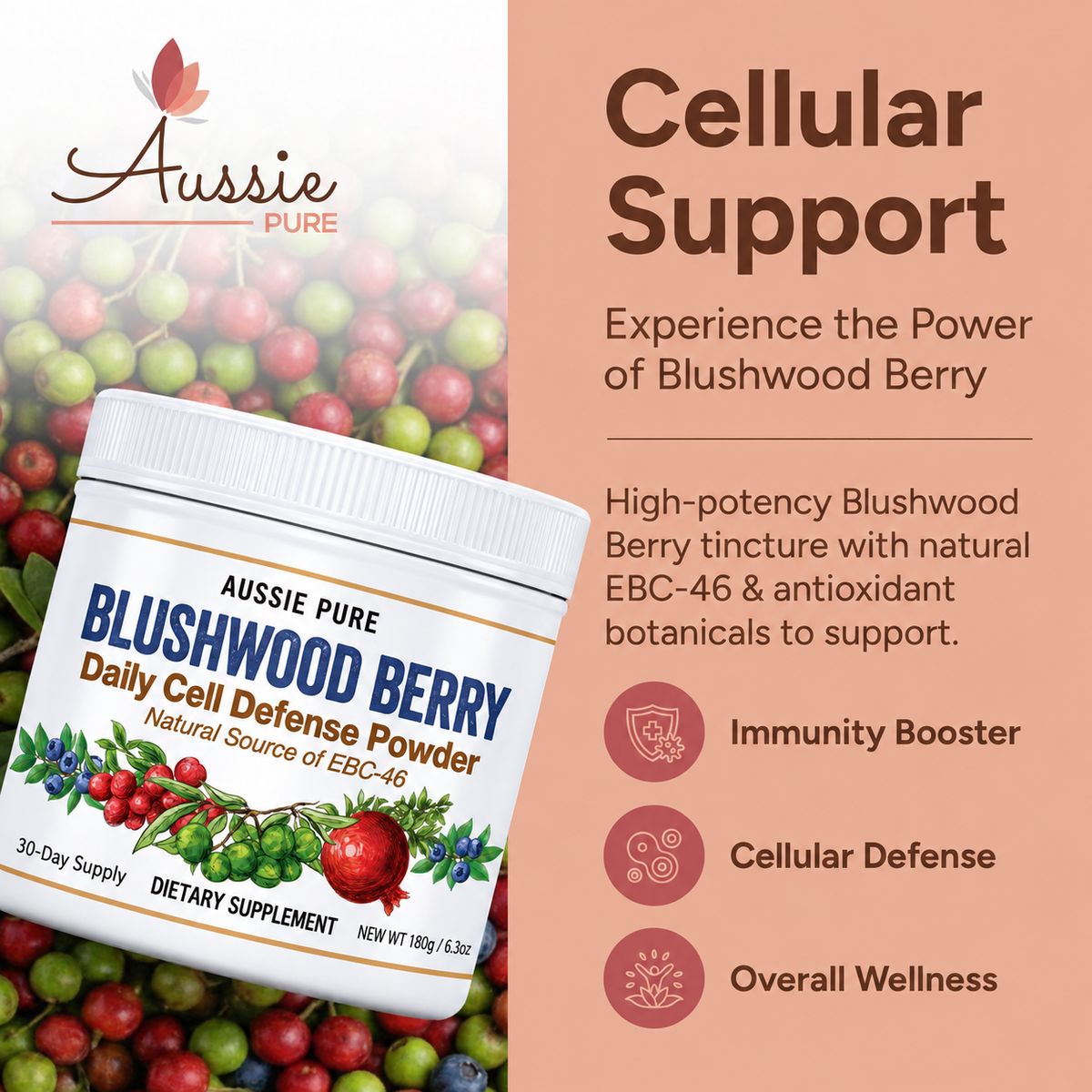 Blushwood Berry EBC-46 Daily Cell Defense Powder