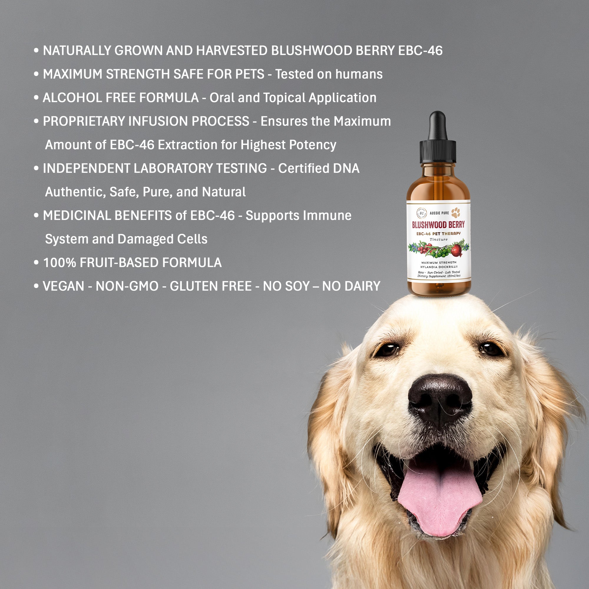 Blushwood Berry EBC-46 Pet Therapy Maximum Strength Tincture