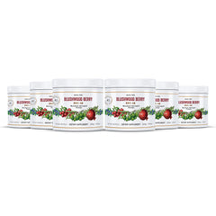 aussie pure blushwood berry ebc46 container six pack v2