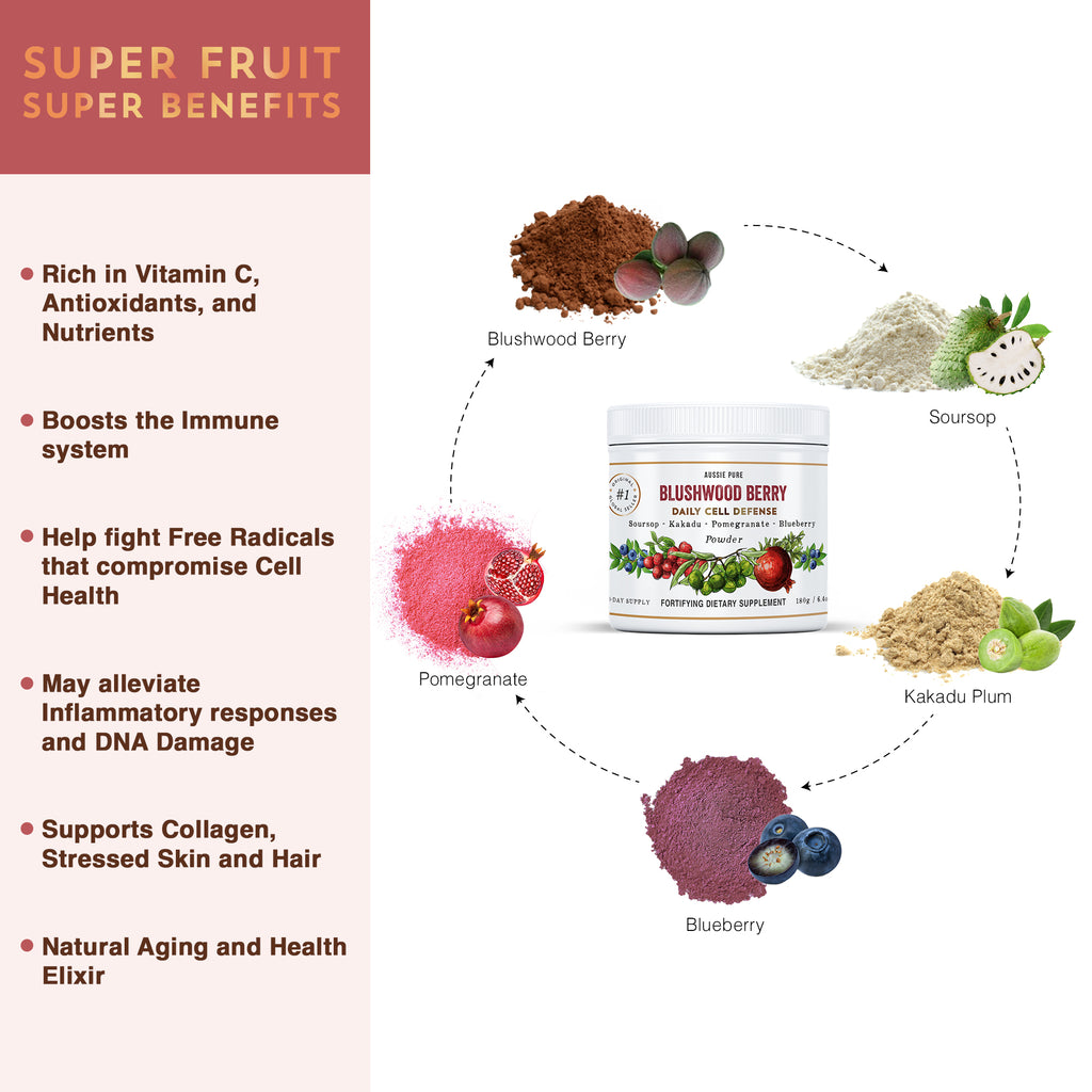 aussie pure blushwood berry ebc46 daily cell defense beneits