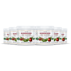 aussie pure blushwood berry ebc46 daily cell defense six pack